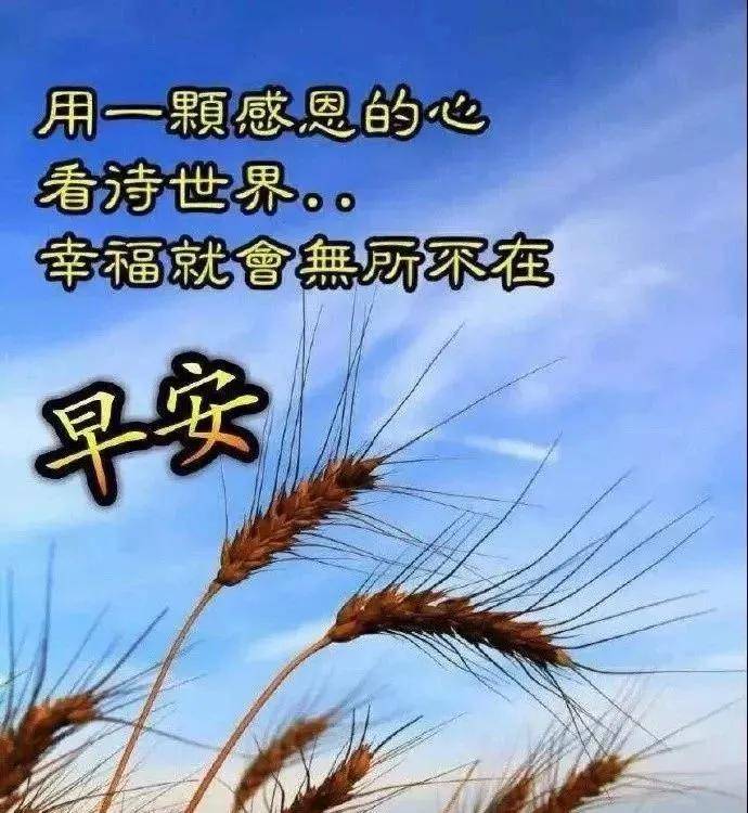 清晨问候暖心语句,早上发朋友圈的祝福语图片