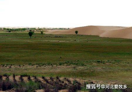 划区轮牧对治理草地荒漠化具有必要性