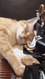 爆笑gif;那天在广场上看见丈母娘在锻炼,我连夜回去和