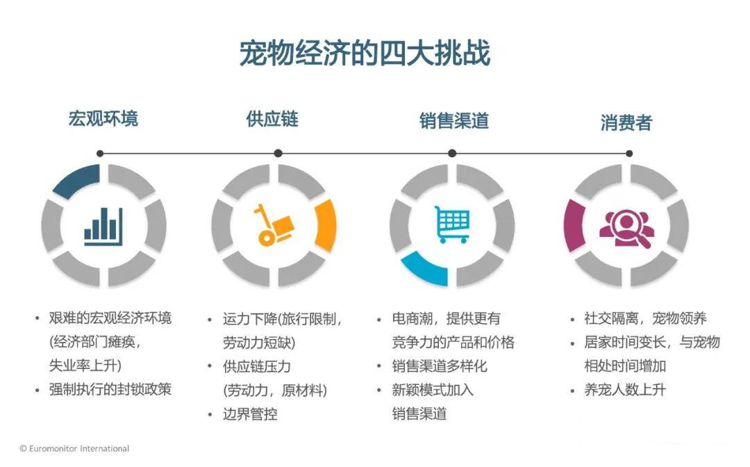 宠物经济的4大挑战和5大机遇