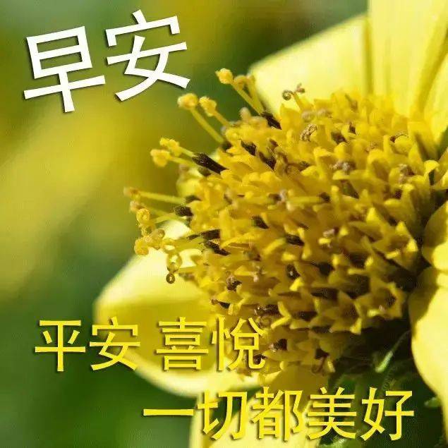 6张创意漂亮免打字早上好图片带祝福语 2021最新早上问候语图片带字