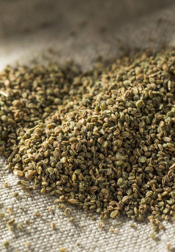 芹菜籽,一种源于古罗马时期的香料,它味带苦涩却能在佐料上发光