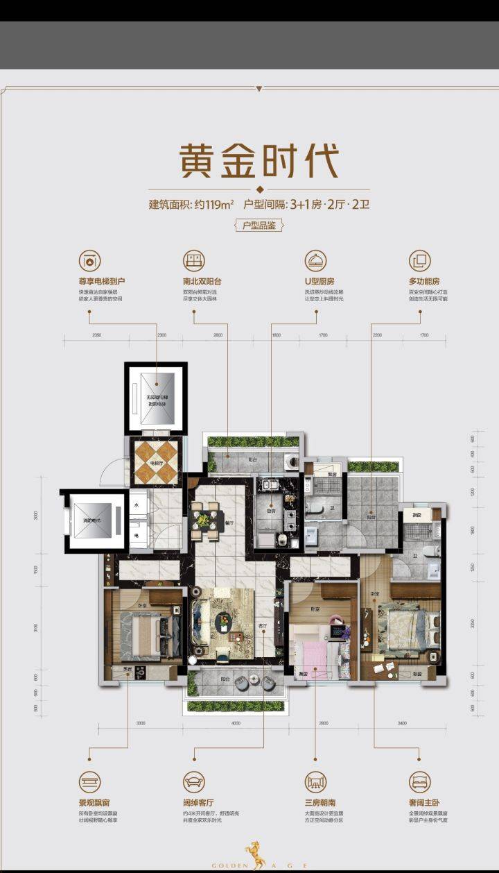 碧桂园户型图119