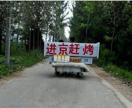 搞笑图片:呼叫总部,我已混进桃子堆了,晚上来吃,我做内应
