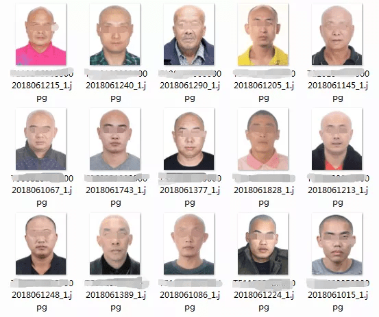 法度笔录:10万张辨认照片获取攻略