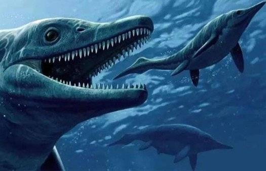 最大的海洋动物曾数新西兰大鱼龙:吃什么长这么大
