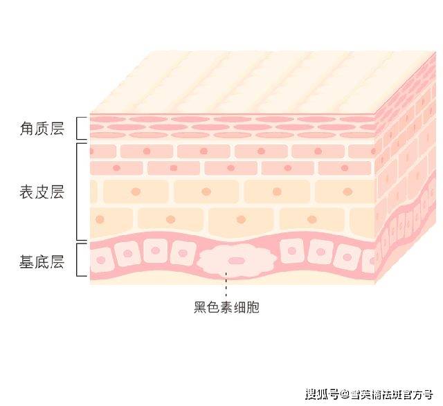 首先我们来看一下斑点形成的过程.