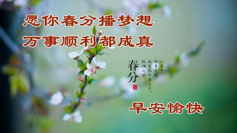 8张创意唯美的春分问候祝福图片带字精选 春分节气祝福语图片带字温馨