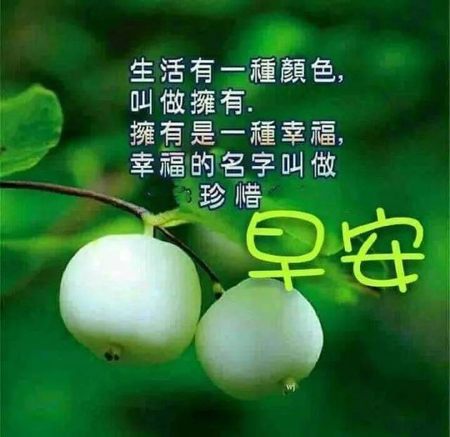 2021年3月22日星期一清晨早上好问候祝福动态表情图片