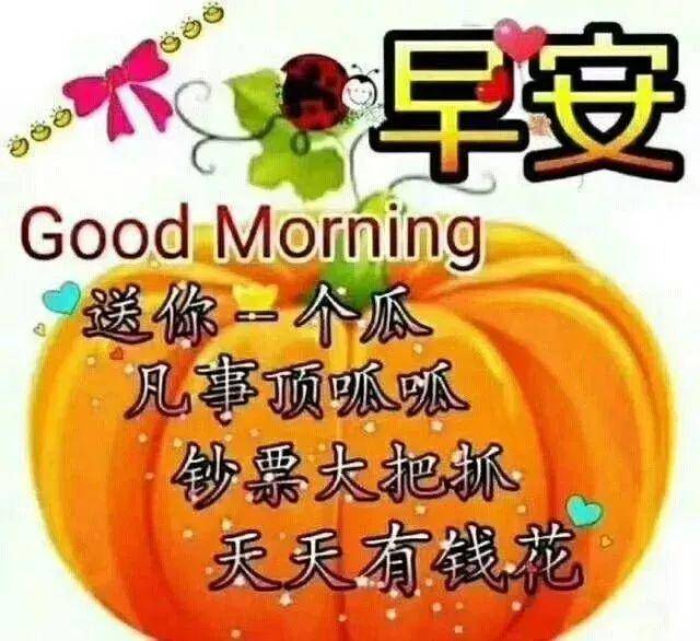 暖心早安问候祝福语美图,最美早晨好问候朋友图片带字