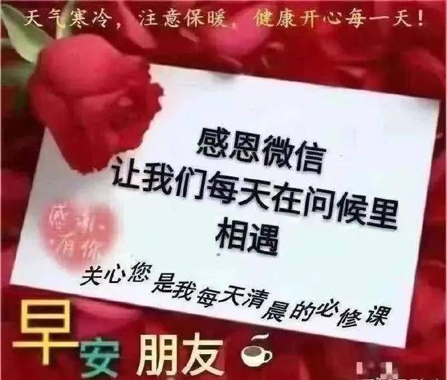原创最新早上好鲜花唯美动态祝福图片 新版微信早安问候语精选