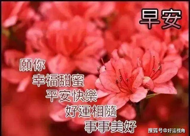 问候祝福朋友早上好漂亮问候图片,早晨祝福语录短信句子致大家