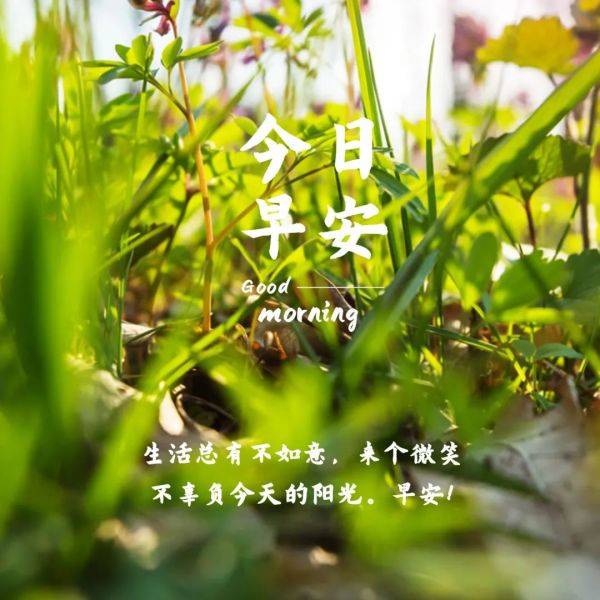 早上好非常可爱的萌娃早安祝福动态表情图片送给大家