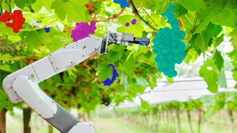 精准农业中的人工智能图像标注应用_机器人