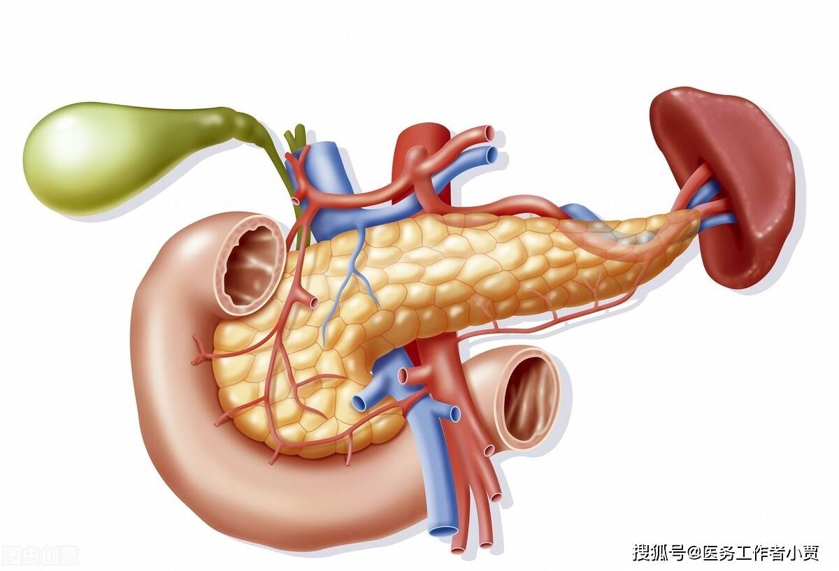 原创胆囊炎是怎么引起的,吃什么水果比较好?