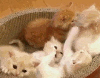 3月27日天蝎座运势,4月份开始,财运更好,走上致富路,十二生肖中贵人