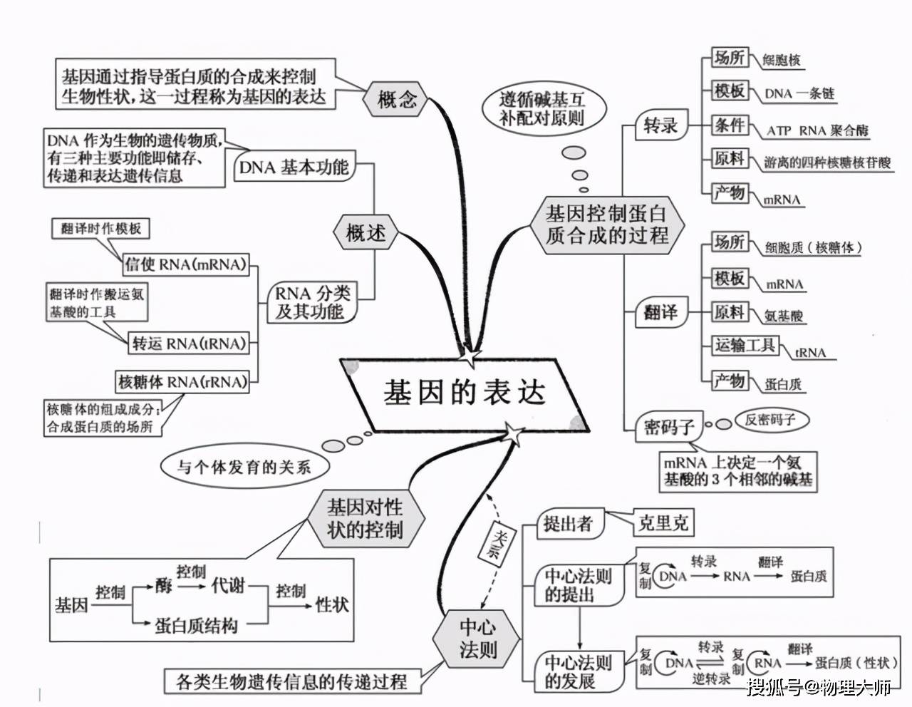 高中生物:思维导图整理,快快收藏分享!