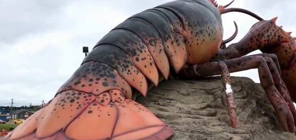 世界上最大龙虾,长1.2米重40斤,最后却放生了!