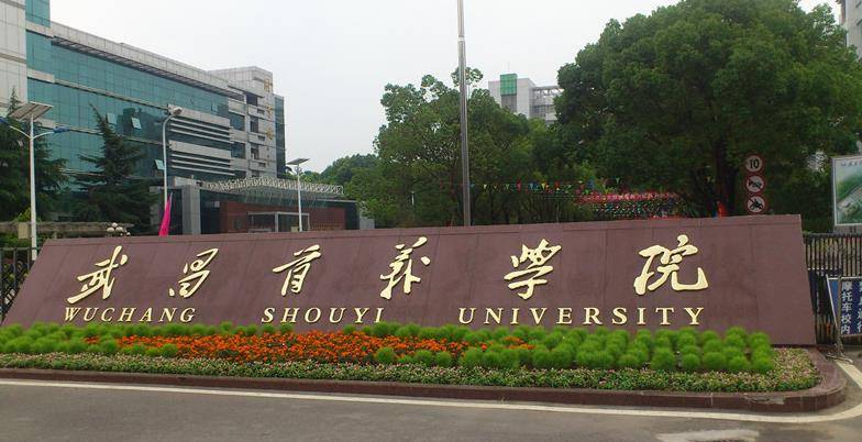 湖北民办大学排名,这三所大学进入前三强,文华学院排名第二