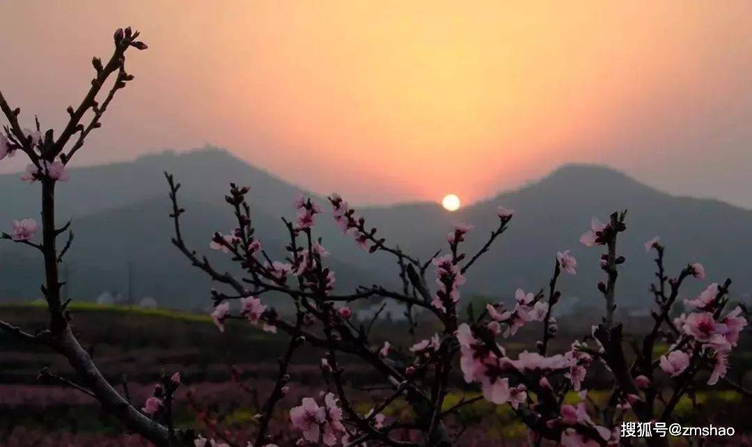 2021无锡阳山桃花节