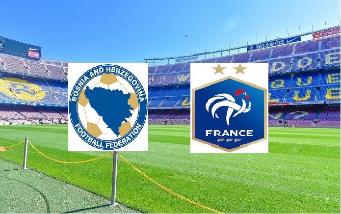 世界杯:波黑vs法国 欧洲预选_比赛