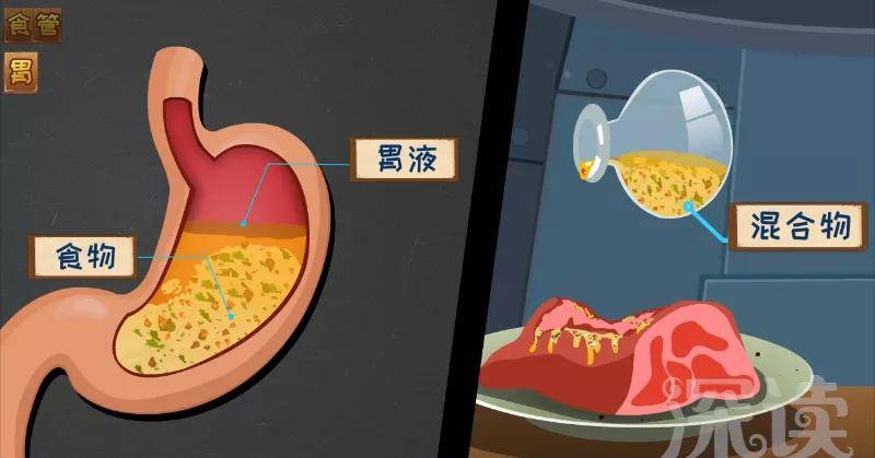 原创胃食管反流咋回事反酸烧心背后真相是啥胃食管反流发病机制动漫版