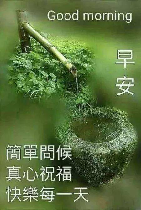 周五微信祝福朋友早上好图片大全 早上好早安暖心句子早安问候图片