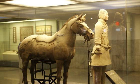 秦兵马俑惊艳了世界,驷马之车是重宝,马车上的伞更为珍贵