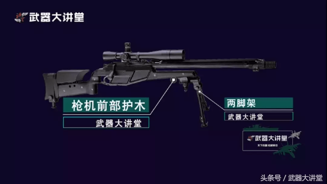 德国blaser r93战术型狙击步枪