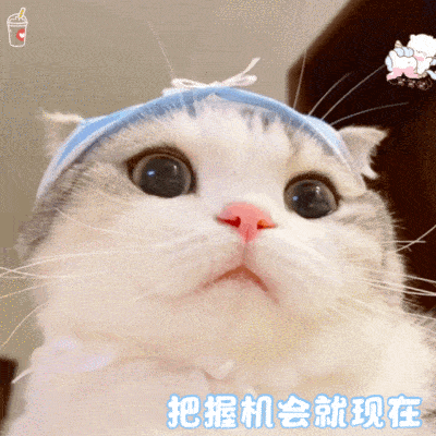 《佛看世界猫看红尘》原创