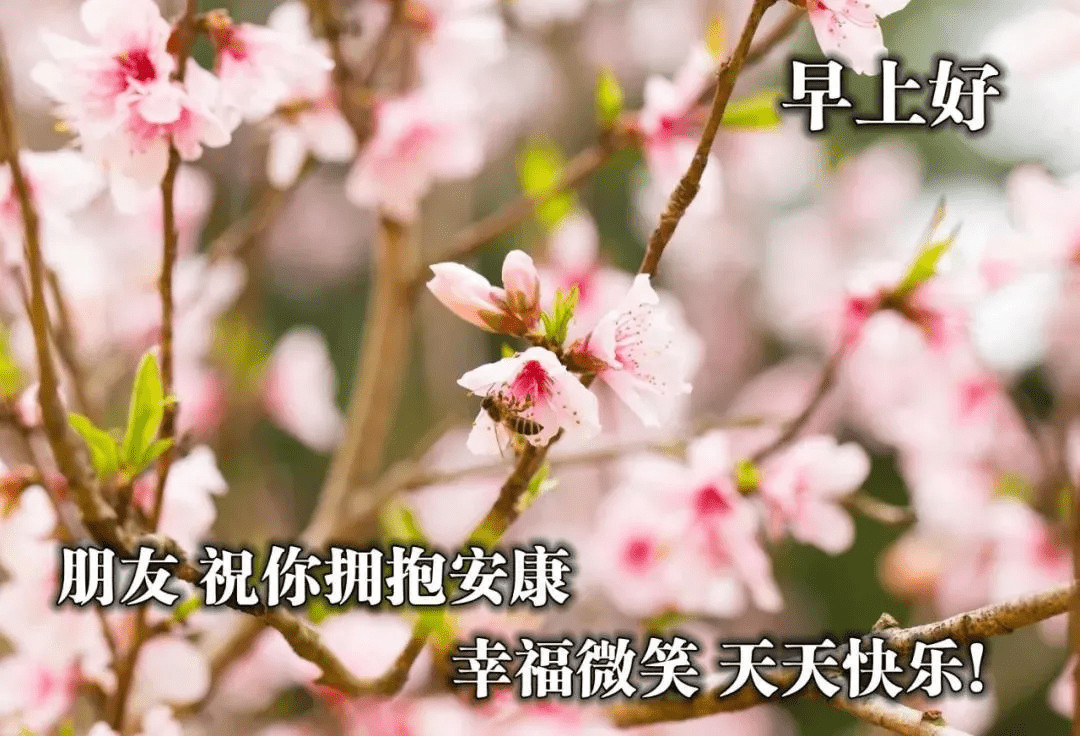 原创春暖花开,春回大地的早安问候美丽图片,充满希望的早上好祝福语