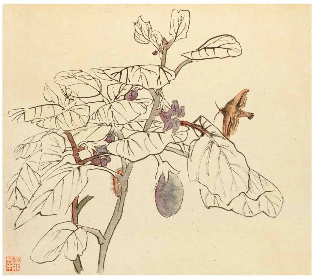 陆抑非白描花鸟课徒稿(53图)