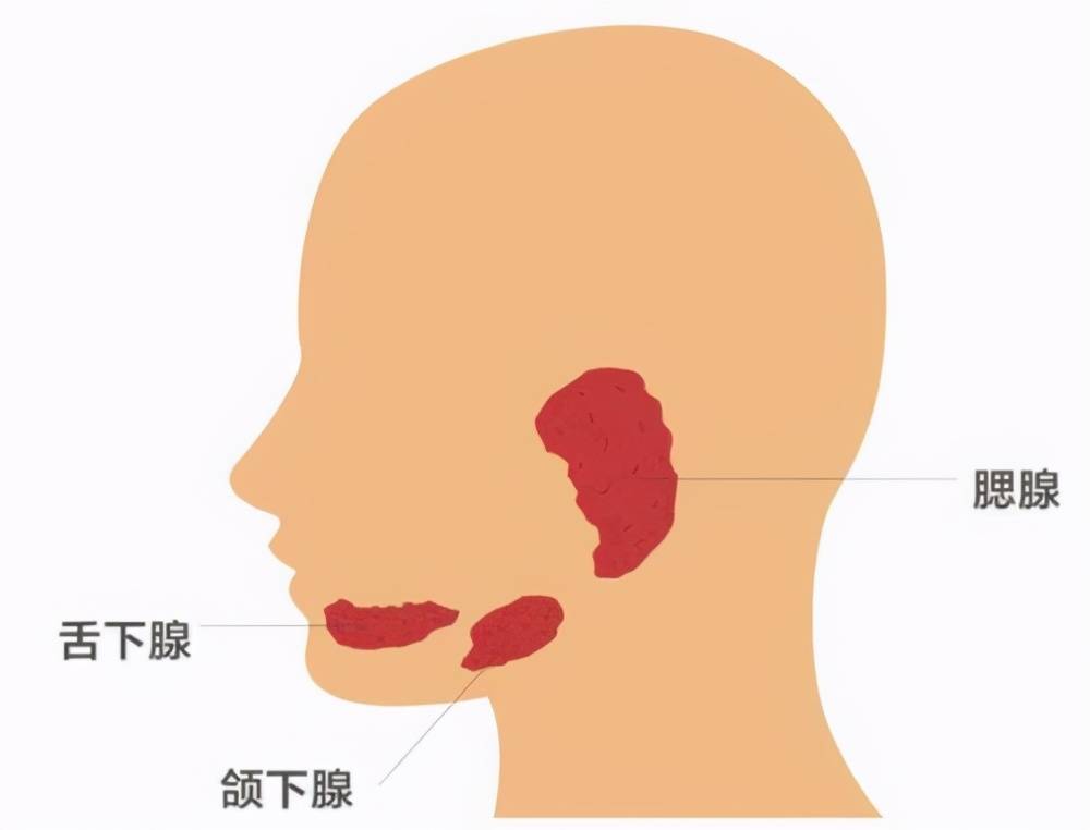 原创耳前黄豆大的小疙瘩,别不上心,可能是腮腺肿瘤