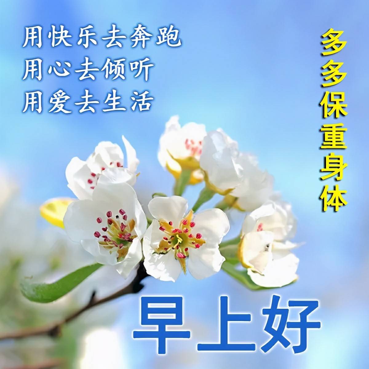 早上好祝福图片2021,2021第一个问候图片 早上好祝福图片2021年精选,清晨祝福语句大全,早安朋友