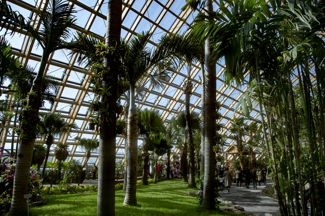 太原植物园实景(来源于住在太原公众号)