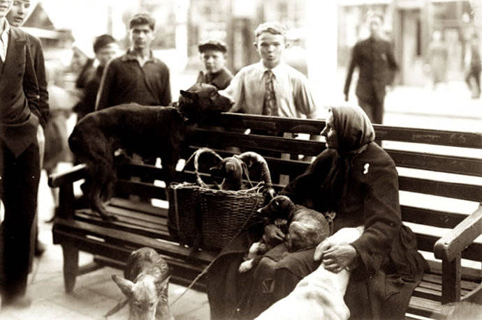 历史老照片:1933年的黑龙江哈尔滨
