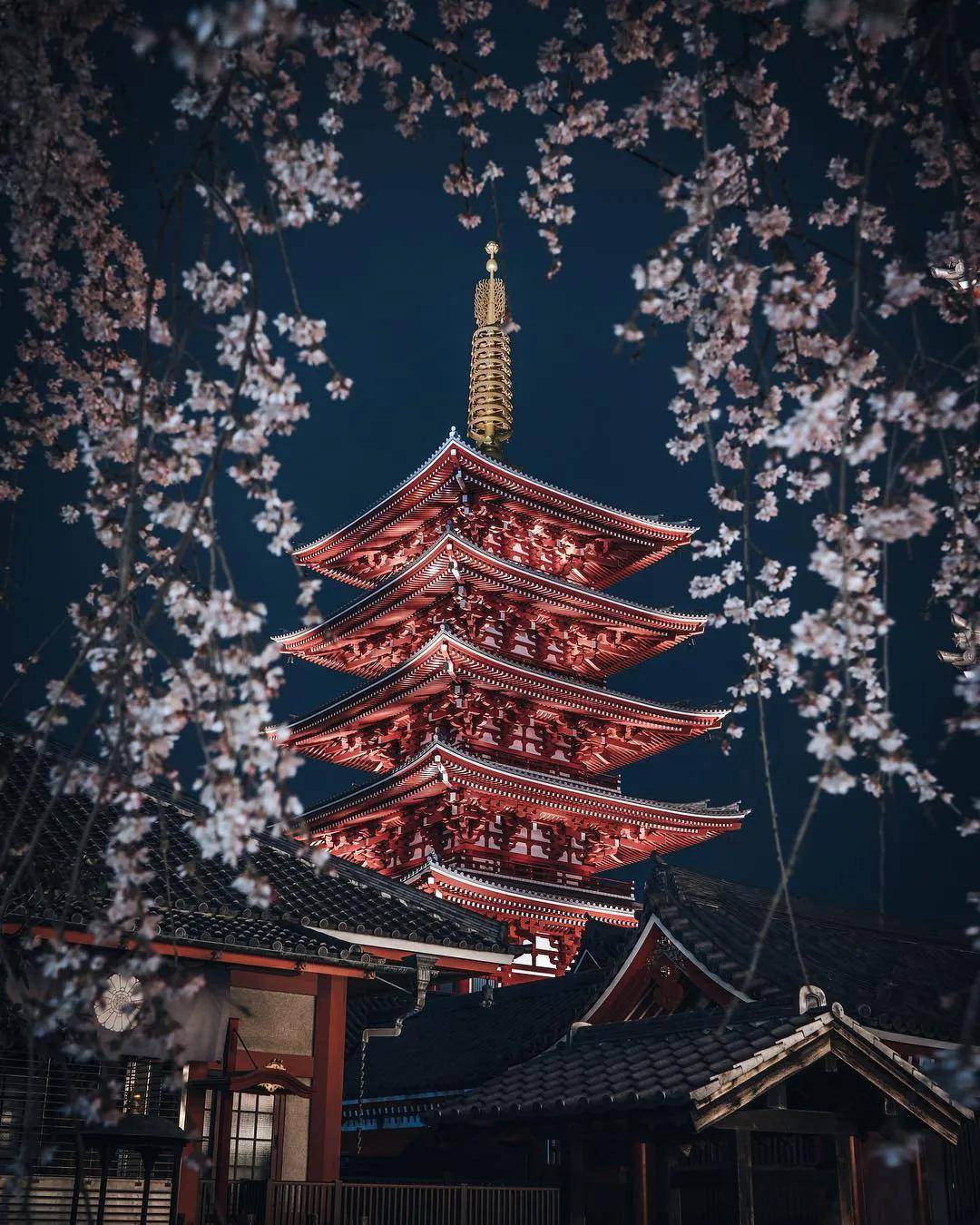 日式建筑之京都东寺