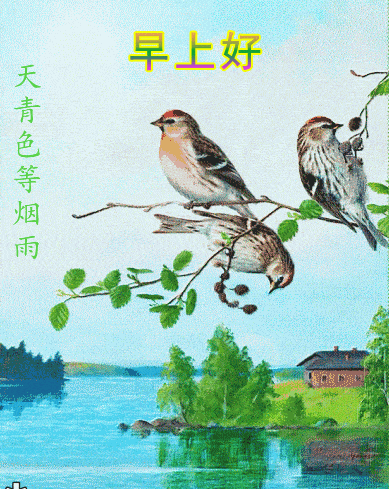 新的一周早晨好的鲜花动态图片祝福语 周一祝福语正能量