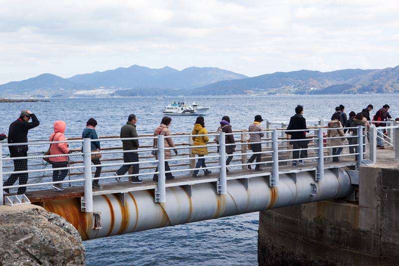 影像| 日本军舰岛实拍,一片荒凉,已是世界遗产