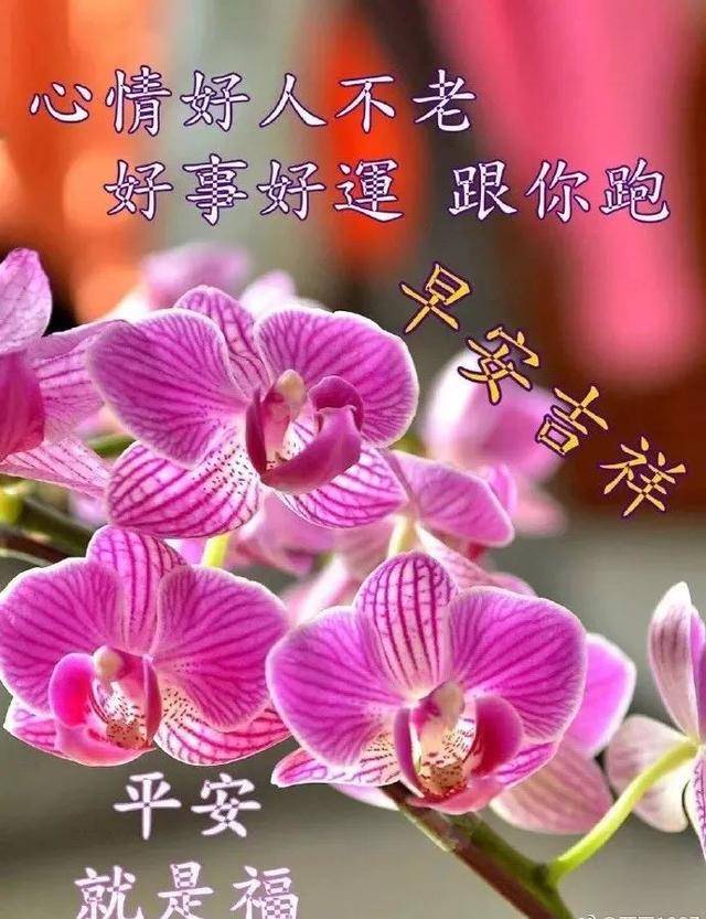 早晨好问候早上好表情 早上好的祝福语大家早上好表情包