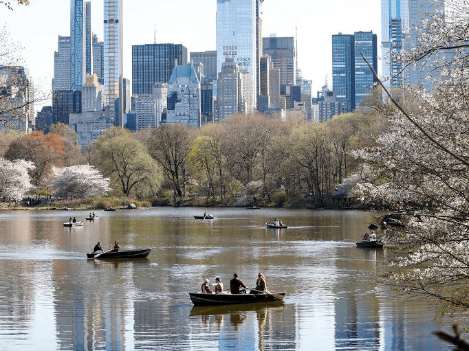 美国纽约中央公园春色满园游人众多