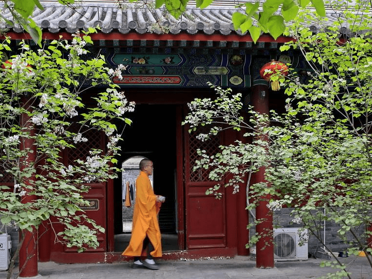 北京千年古刹法源寺丁香花盛开游客纷至沓来