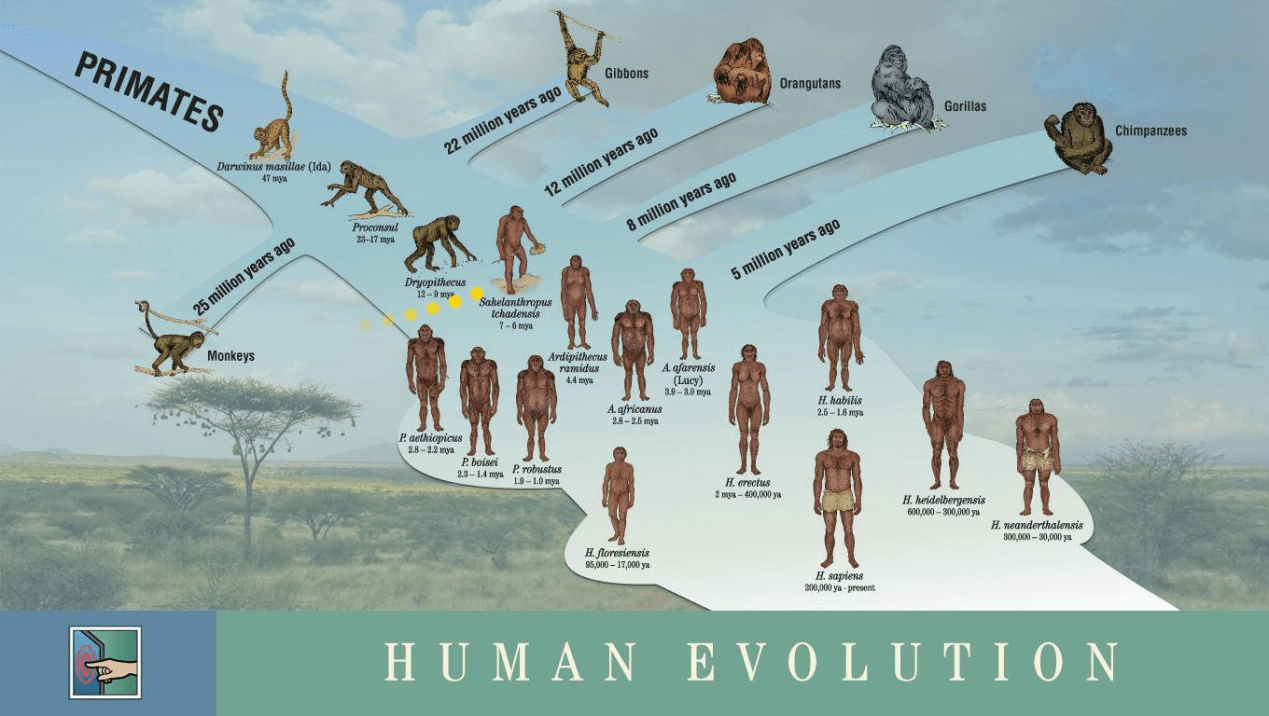 原创生物进化走上绝路第6次生物大灭绝或已开始人类面对2种结局