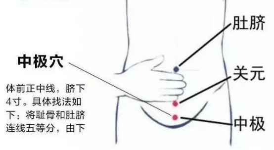 中极穴的位置:中极穴位于神阙穴(肚脐)正下方4寸(6横指宽)处.