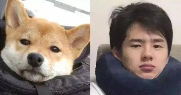 李荣浩自嘲是丑界救星,撞脸猫狗如复制粘贴,昊然弟弟也没能逃过