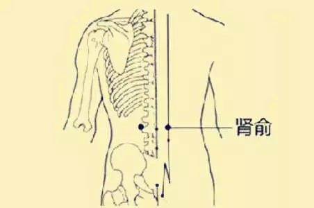 这个穴位位于上肢身体,大概在腰背部位置,具体一点是在第二腰椎下旁开