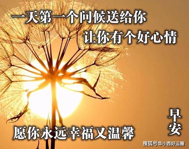 有一种默契叫做心照不宣;有一种感觉叫做妙不可言;早安,早安祝福语