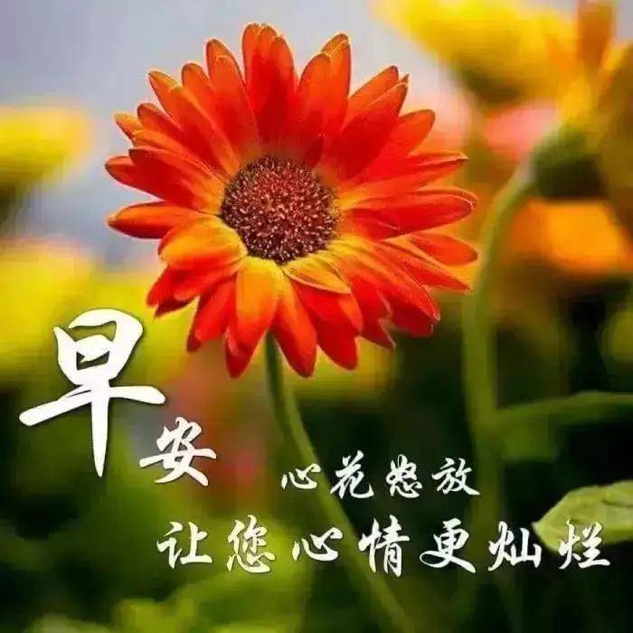 心怀善念,能利人;心怀感恩,能利己!早安