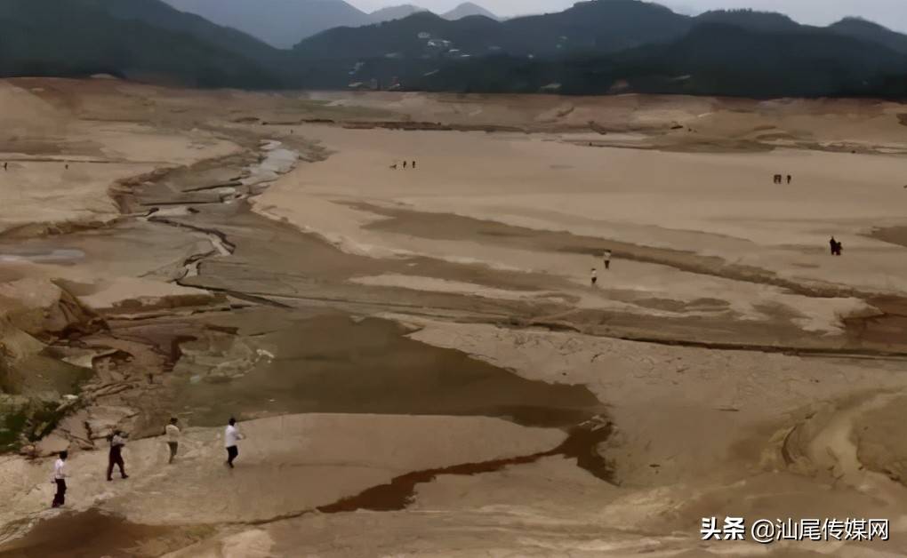 海丰一水库干涸后成为网红景点_红花地