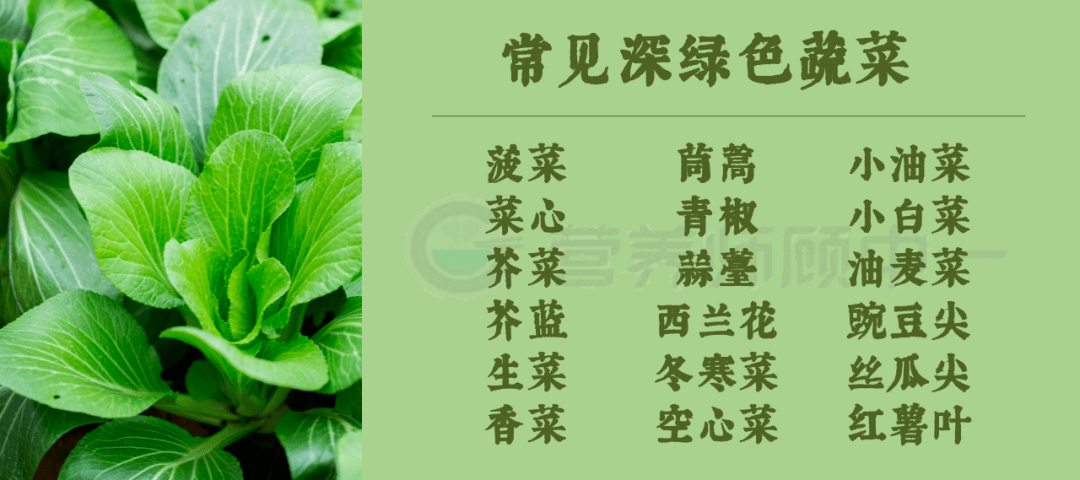 哪些蔬菜营养好?一个小窍门帮你挑